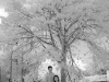 Album-45.jpg