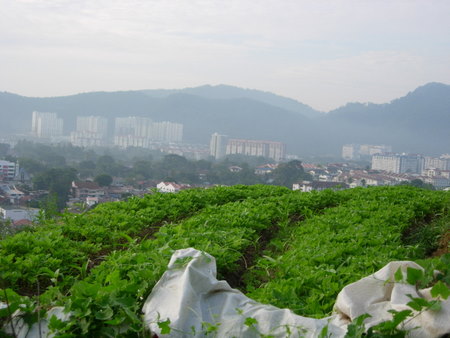 dscn2236