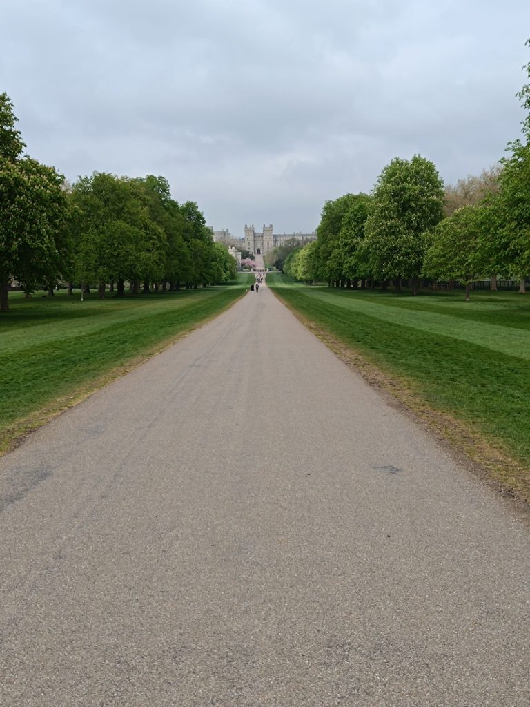 The Long Walk in Windsor, a wide, tree-lined avenue stretching towards Windsor Castle in the distance. The symmetrical rows of trees create a picturesque view, framing the path that leads to the historic landmark. A few people can be seen strolling along the walkway, adding to the grandeur and tranquility of the scene. The sky is overcast, lending a soft, muted tone to the surroundings.