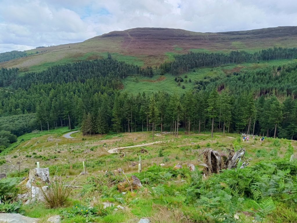 The Spinc, Glendalough