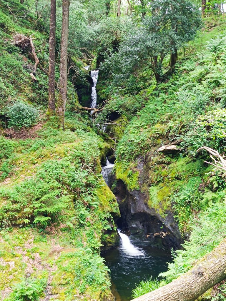 The Spinc, Glendalough