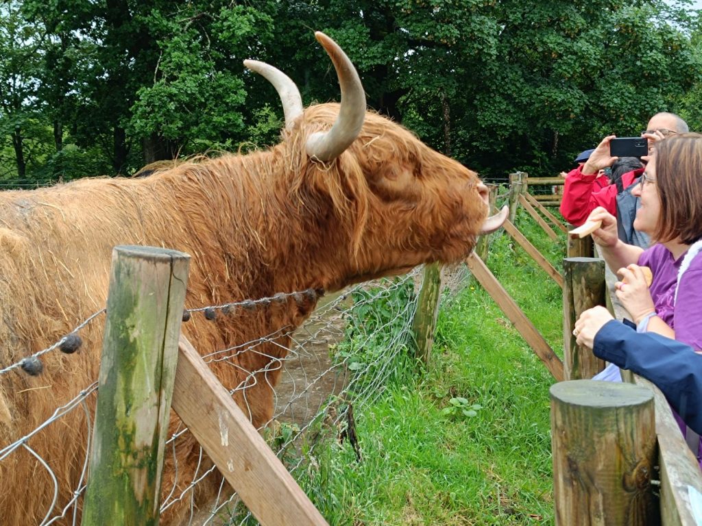 Day Tour to Loch Lomond and Stirling